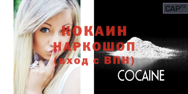 ешки Алексин