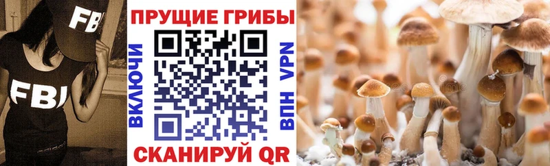 Галлюциногенные грибы мицелий  закладка  Северская 