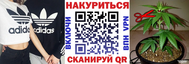МАРИХУАНА планчик  Северская 